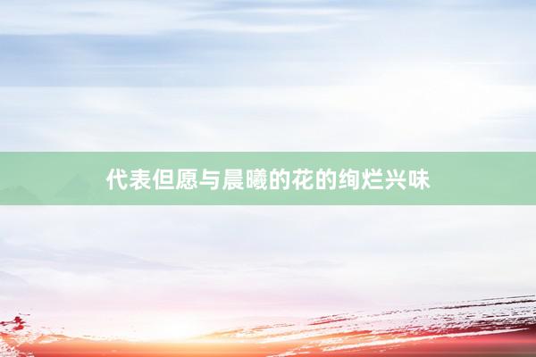 代表但愿与晨曦的花的绚烂兴味